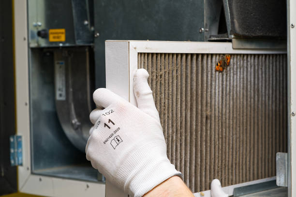 Best Local Air Duct Cleaning Services  in Neillsville, WI