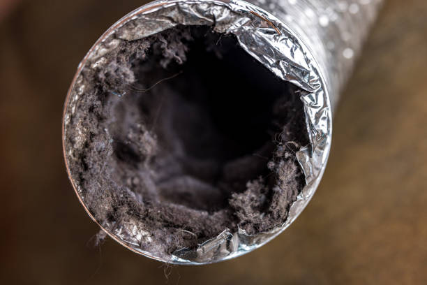 Best Affordable HVAC Duct Cleaning  in Neillsville, WI