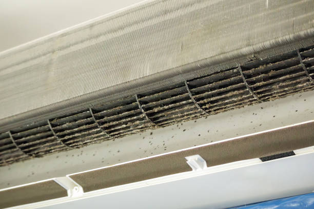 Best Ventilation Cleaning Services  in Neillsville, WI